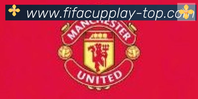 FIFA世界杯赛事官方网站合作伙伴